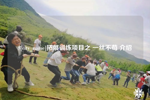 阳江拓展训练项目之 一丝不苟 介绍